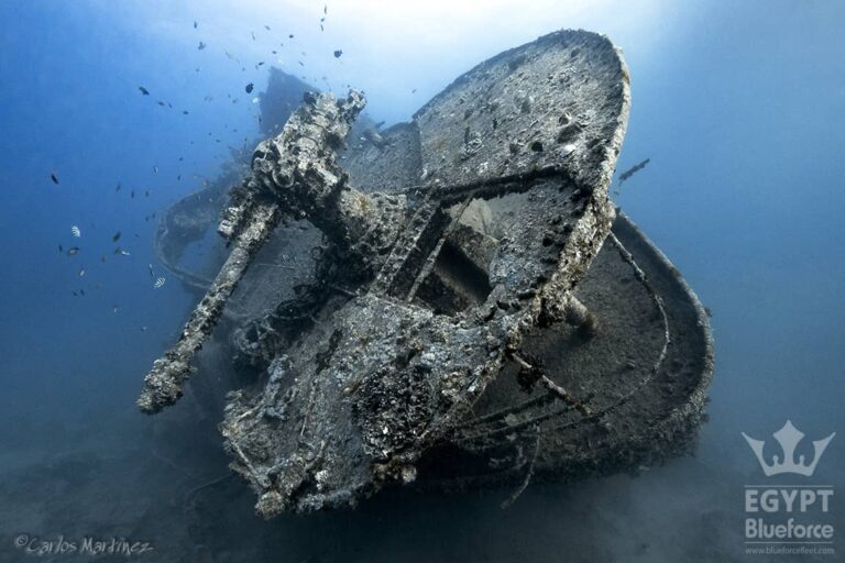 SS Thistlegorm, The Best-preserved Shipwreck In History - Blue Force Fleet