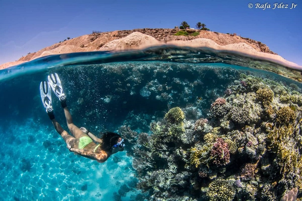 Mujer buceando en el Mar Rojo. Foto realizada por Rafa Fernández